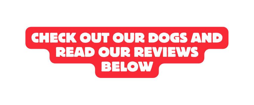 Check out our dogs and read our reviews below